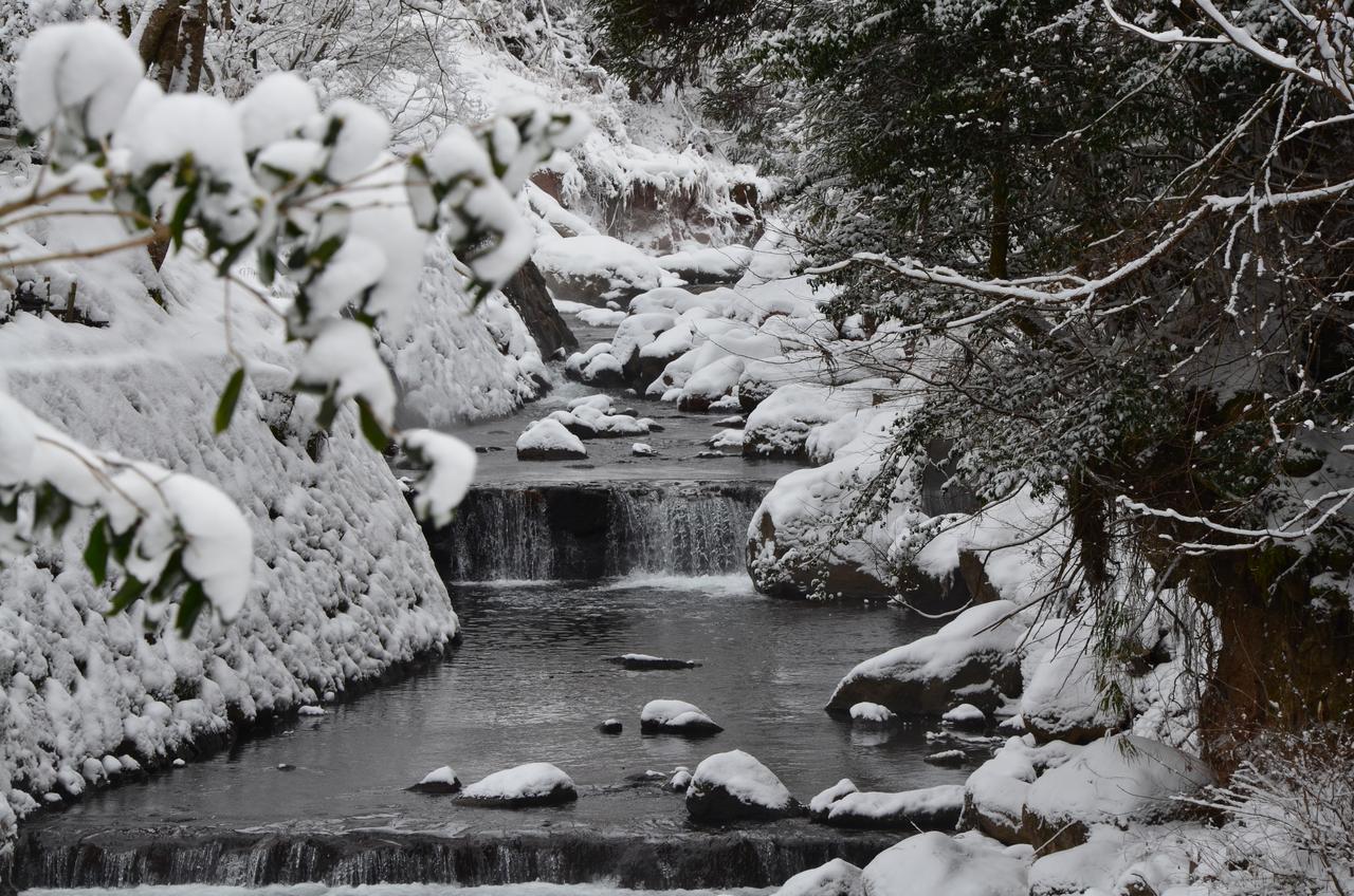 Kurokawa Onsen Oku No Yu Hotel Minamioguni Kültér fotó